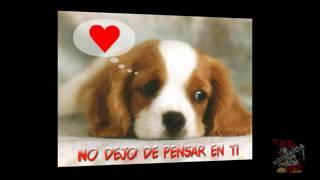 Mas - Diego Gonzalez (O_^)