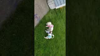 THELMA LOUISE AND ANGEL