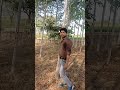 Maine Jee Liya Mar Liya ShailendraKumar Youtopshots Shorts