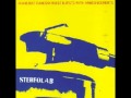 stereolab tone burst 