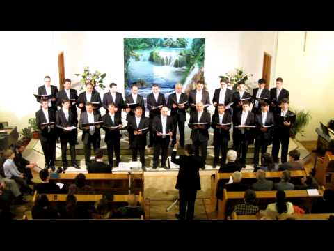 Corul barbatesc Constanta - Ramai cu noi