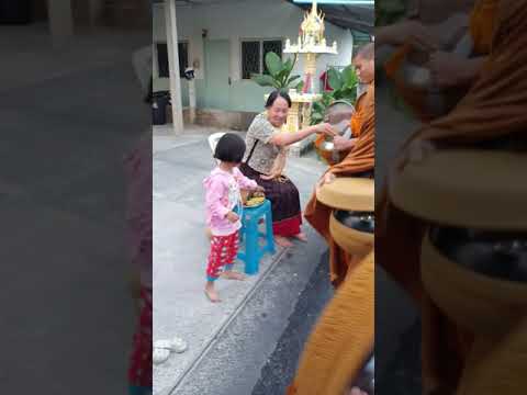 Manhã Pindapata em Ubon Ratchathani, Tailândia