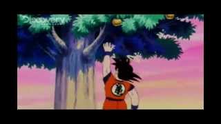 Goku ensina técnicas de sobrevivência em: À Prova de Tudo