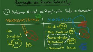 Regulação da Pressão Arterial - Resumo - Fisiologia