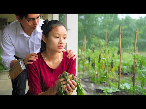 Ly Tu Diep & CEO James Lost Everything in One Rainy Day - What Happened Next?