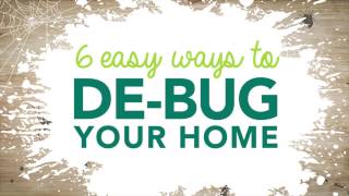 6 Easy Ways to Get Rid of Common Household Bugs