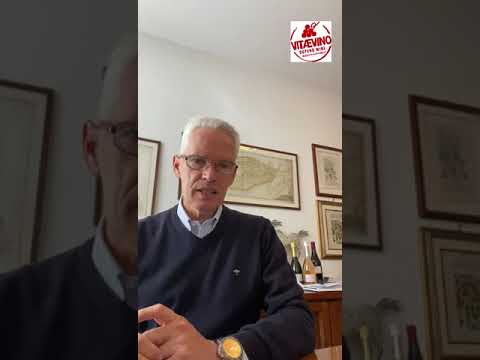Video of Giangiacomo Gallarati Scotti Bonaldi
