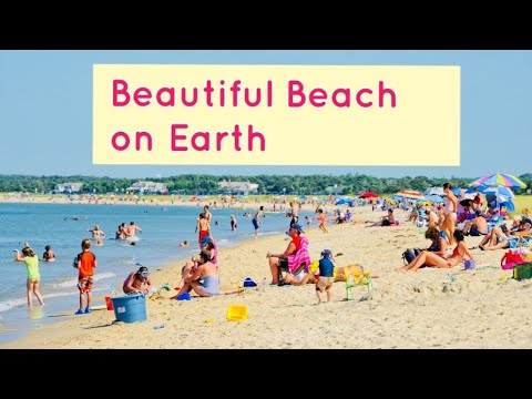 The best beach in the world