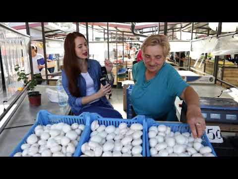 Ceger ep. 737 09. 09. 2021.