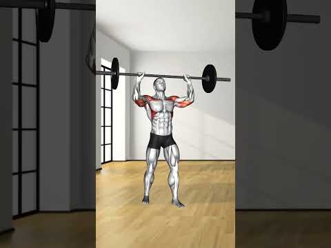 5 compound Movement you should know #workout #compound #exercise #benchpress #deadlift #shoulder