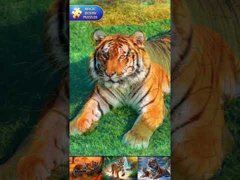 App video