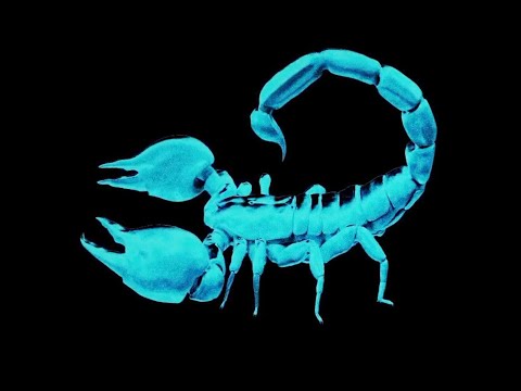 [FREE] Drake x Travis Scott Type Beat "Space Invaders" (prod. GoldinoStar)