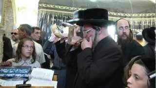מוסדות קבר רחל סיום הש"ס בקבר רחל