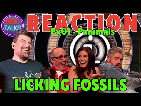 CLASSIC QI REACTION Series P Ep 1 XL - Panimals (Teri Hatcher, Phill Jupitus & Danny Baker)