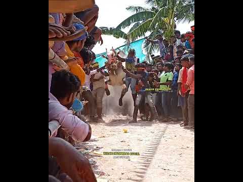 VEERANAMALAI NANDHI EXPRESS 106 💥💥