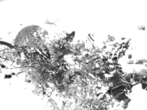 Anthony Godwin - La Riviere de la vie (Original mix) Techno mélodic / Neotrance / deep mélodic