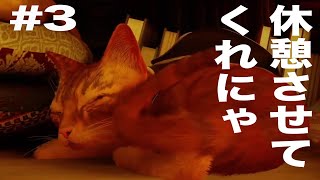 謎のノート集めで大変！休憩させてくれにゃと言わんばかり
