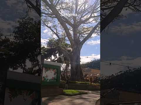 #colombia #cundinamarca #sasaima