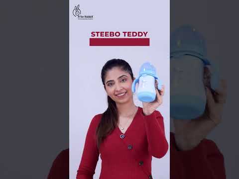 R for Rabbit Steebo Teddy Stainless Steel Spout Sipper Bottle