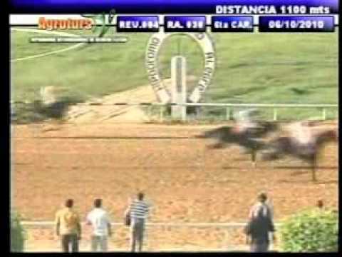 Resumen Miércoles 6 de octubre 2010 - Rancho Alegre