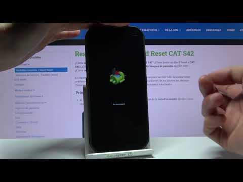 Cómo entrar y salir del modo Recovery en CAT S42 - quitar Recovery