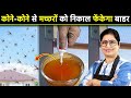 न केमिकल न कीटनाशक इस जादुई उपाय से मर �
