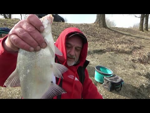 FEEDEROM U HLADNOM JEZERU - Ninoslav Žagar