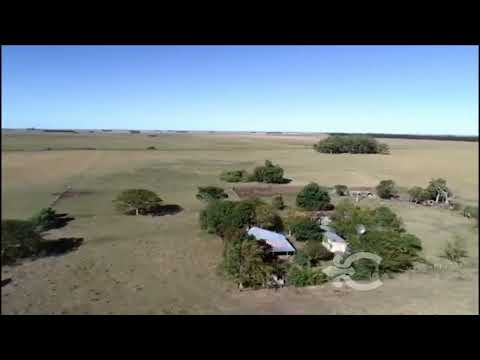 Video de YouTube - Campo en venta en Salto 5118