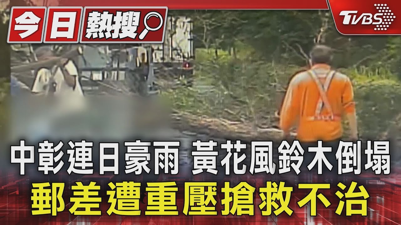 中彰連日豪雨!黃花風鈴木倒塌 郵差遭重壓搶救不治