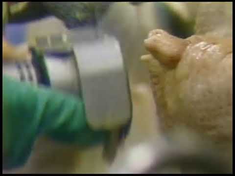 Ogc oil gland cutter