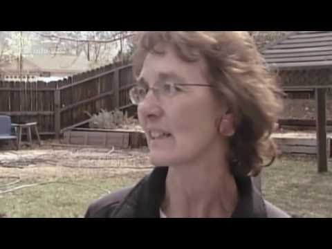 Plattentektonik 1: Mantelkonvektion und Kontinentaldrift - Plattentektonik & Vulkane 5