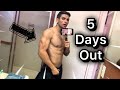 5 Days Out Bodybuilding Competition: Blink 182 Concert: Day in the life