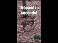 PERFECT SHOT Drops In Sight Shotgun Deer Hunting Shorts Deerhunting