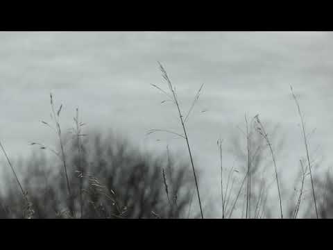 Alexey Filin (DP-6) - Mental Focus part 01