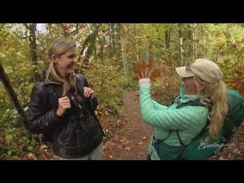 Five hikes for seeing fall colors in Western Washington - KING 5 Evening