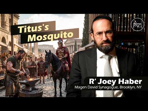 Titus's Mosquito | Rabbi Joey Haber