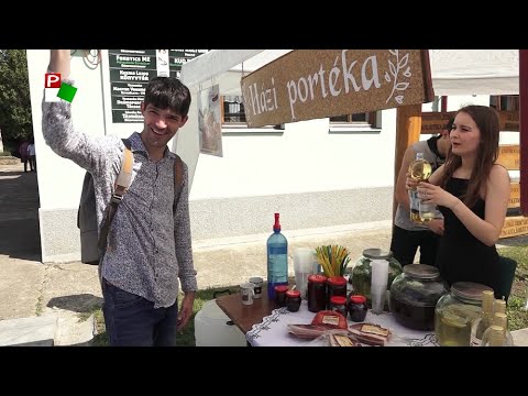 Közel-kép – Meggynapok és falunap Bácsfeketehegyen