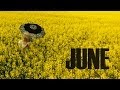 June - MonaLisa Twins (Original) 