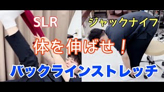[Flexibility Exercises Stretching] SLR & Jackknife! Backline Stretch [Takanedai Osteopathy]