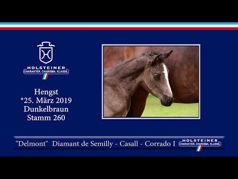 Holsteiner Fohlenauktion am 15. Juni 2019 | Nr. 13 - Delmont v. Diamant de Semilly-Casall