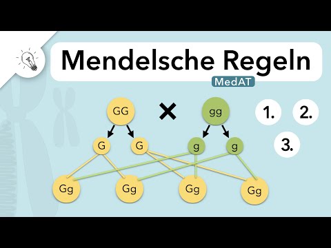 Mendel's Laws | Genetics | MedAT | Biology