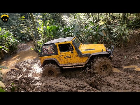 Manilha Trail - Mudholes, River and Rocks in the Forest - Troller T4