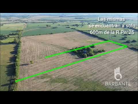 Vendemos‼️‼️ Hectáreas en Antelo, Entre Ríos.