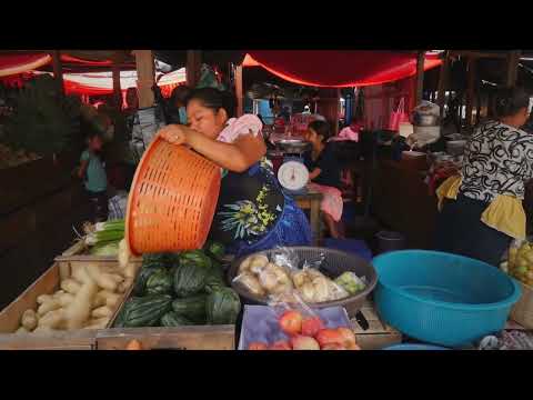 Second United Nations Food Systems Summit – Rome July 24 -26