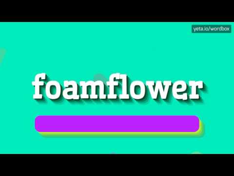 HOW TO SAY FOAMFLOWER? #foamflower