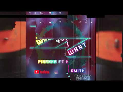 WHAT YOU WANT PIRANHA FT K SMITH [visualizer]