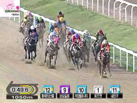 2009 Korean Oaks (G2) - Pangpang