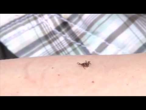 másodszor az erekció gyengébb