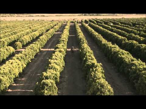 Dj Tetris Ft. Avicii - Wake Me Up