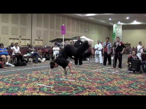 Thekla Hutyrova - IMAC Weapons Runoffs